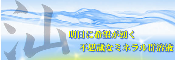 �A�f�B�|�O���E�@�A�f�B�|�l�N�`�����呣�i�T�v�������g�@�~�l�������i�Q�n�t�j�@�ʔ́@���R�����͌������Ё@�O���[�G���^�[�v���C�Y
